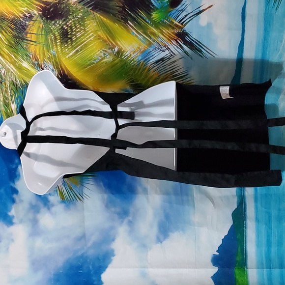 FRIENDS CENTRAL PERK APRON HALLOWEEN COSTUME ONE SIZE FITS MOST - Picture 4 of 5